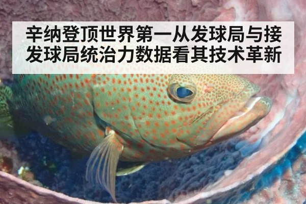 辛纳登顶世界第一从发球局与接发球局统治力数据看其技术革新