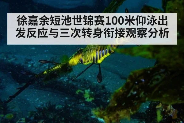 徐嘉余短池世锦赛100米仰泳出发反应与三次转身衔接观察分析（nine game）